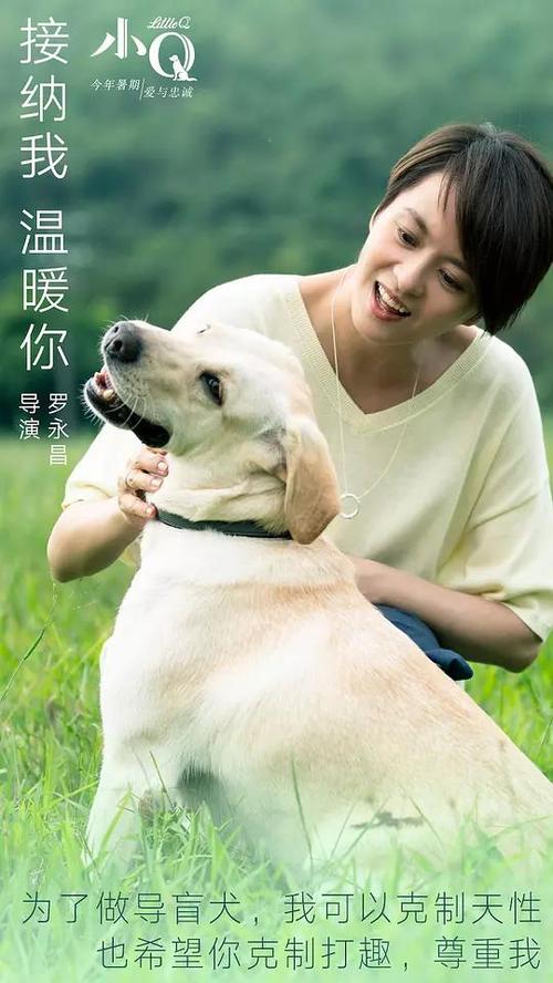 签证的存款证明怎么弄